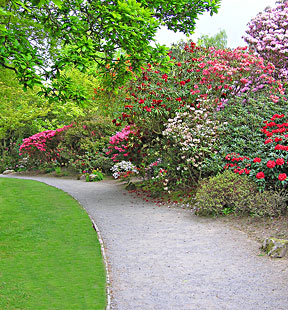 pathway to garden