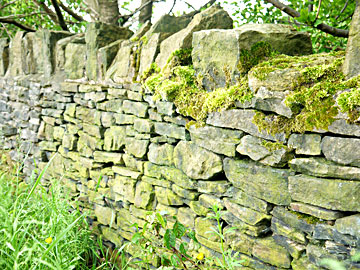 Established Dry Stone Wall