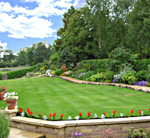 Garden Lawn