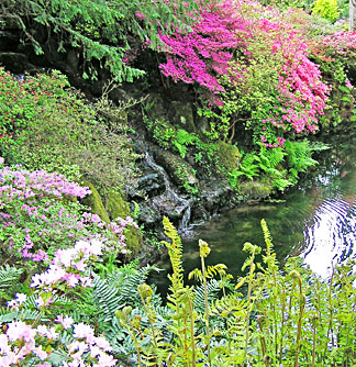 Garden Pool surrounded by flowering shrubs