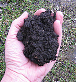 Handful of health black soil