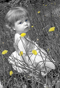 Child in Dandelions