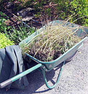 Garden Waste to be shredded for Composting