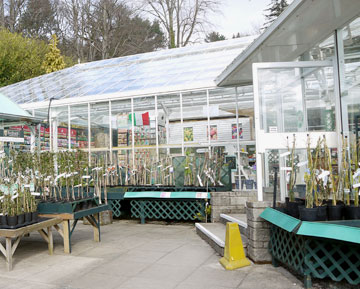 Garden Centre