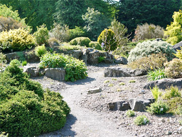 Rock Garden