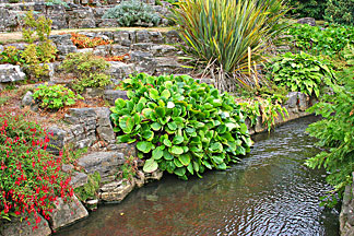 Rock Garden and Stream